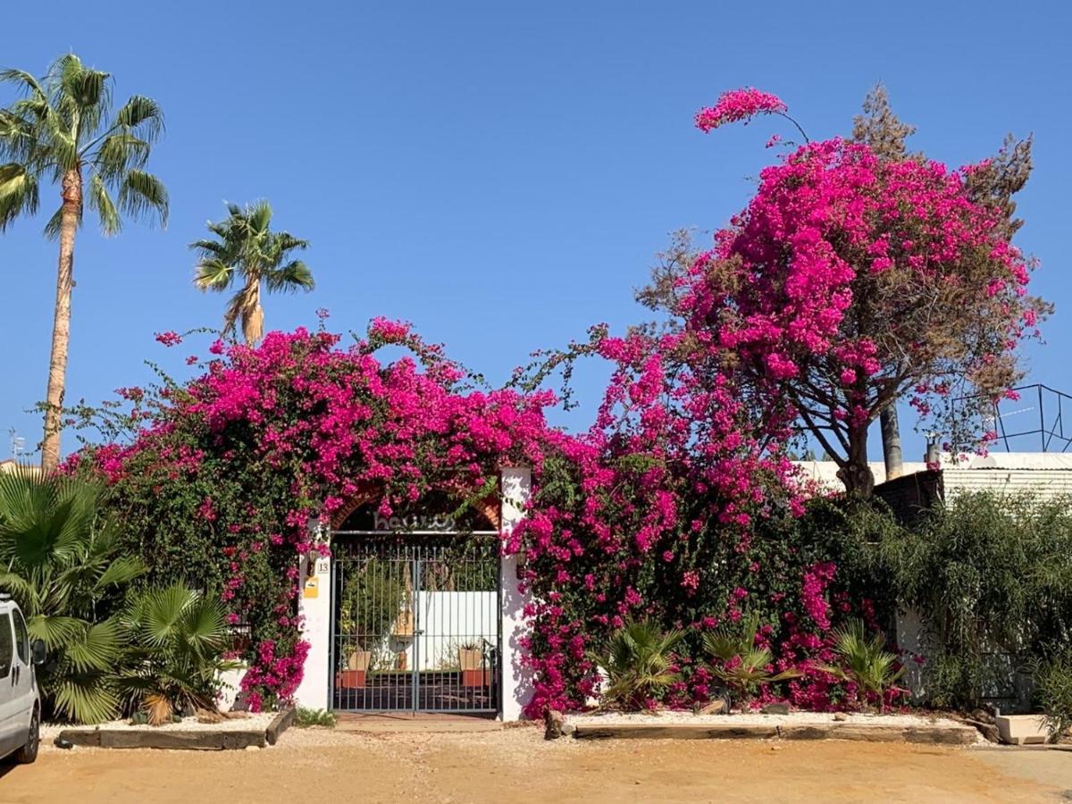 Casa Tranquila Villa San Juan de los Terreros Eksteriør billede
